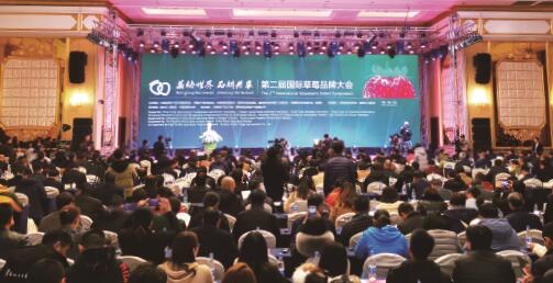 第二届国际草莓品牌大会综述