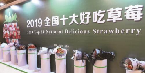 第二届国际草莓品牌大会综述