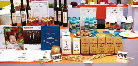 开创农业品牌化的新进程