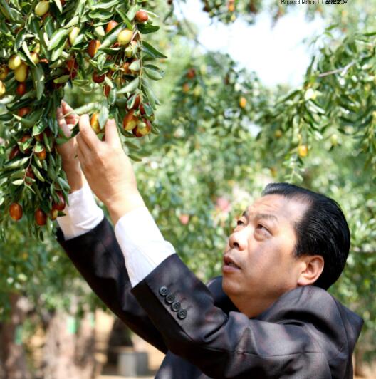 用心构筑的“红枣帝国”