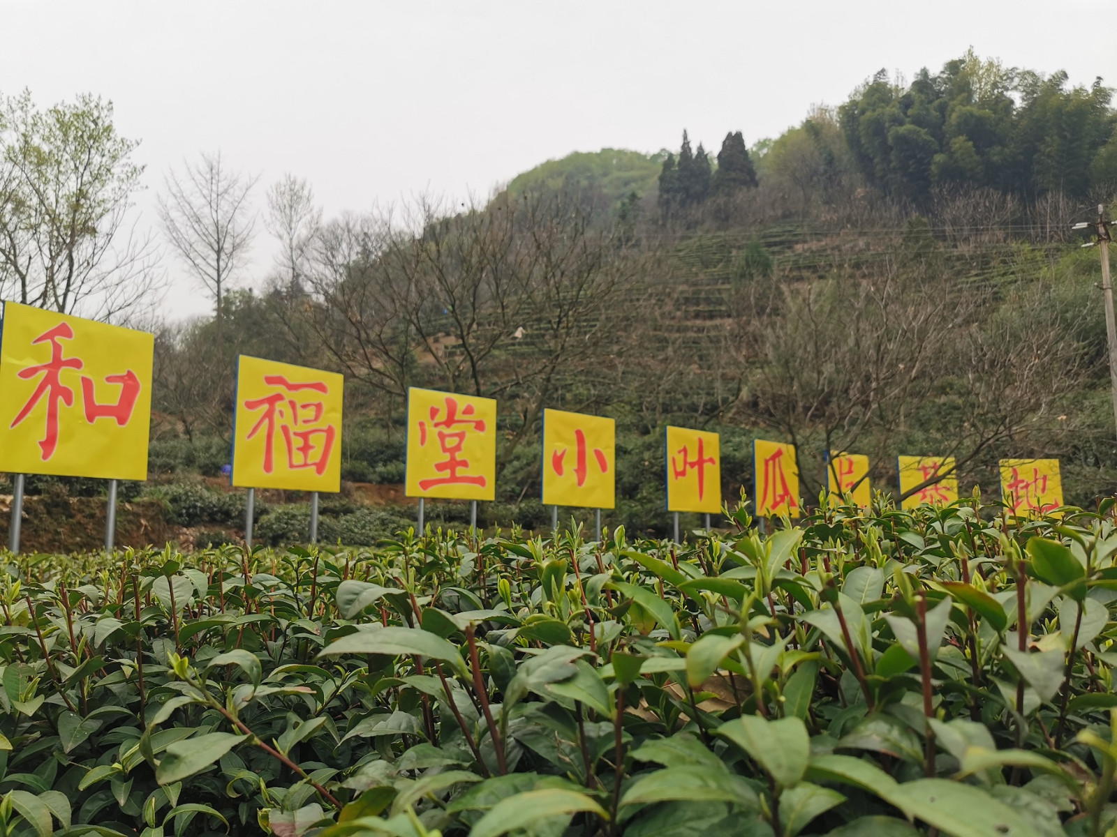 1680597468708103.jpg (新闻稿官网)糖心视频破解版会长黄竞仪赴皖调研222.jpg